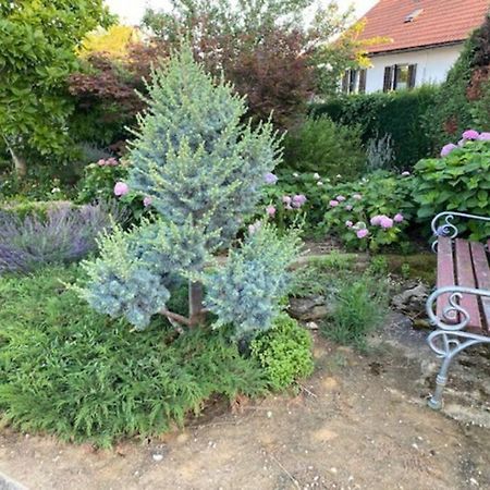 Apartma Jozica In Toncek Sveti Jurij ob Scavnici Exterior foto